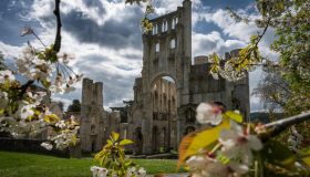 L’Abbazia di Jumièges è la più bella rovina di Francia, 1.300 anni di storia in un solo capolavoro