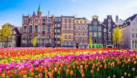 I voli per la primavera 2027 di easyJet sono già in vendita, ecco le mete top più convenienti