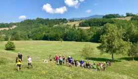 La valle dove l’acqua diventa pietra: viaggio nella misteriosa Val Gelana, gioiello nascosto dell’Appennino