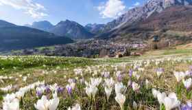 Il segreto nascosto tra i ghiacci: le incisioni rupestri più alte d’Europa si trovano a Bormio