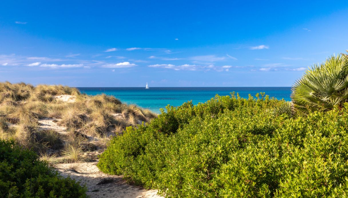 Tra le dune di Cala Mesquida, Maiorca