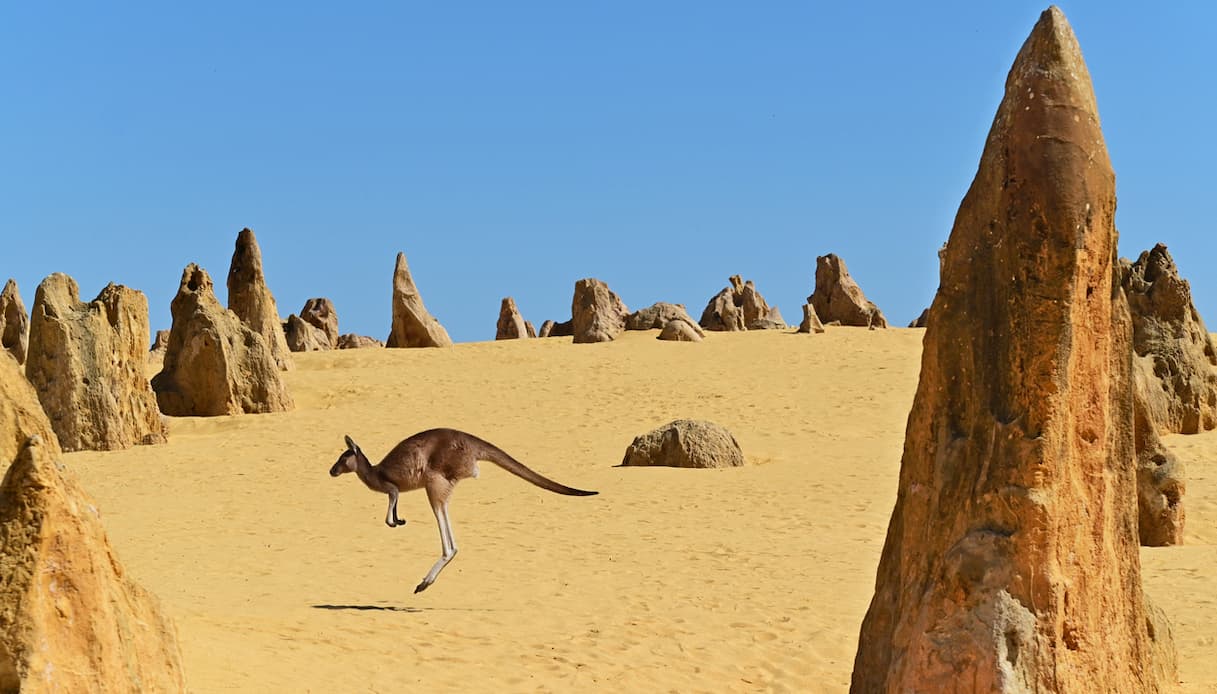 Parco Nazionale di Nambung