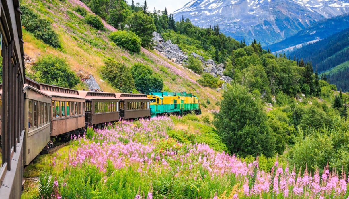 La panoramica White Pass & Yukon Route nello Yukon