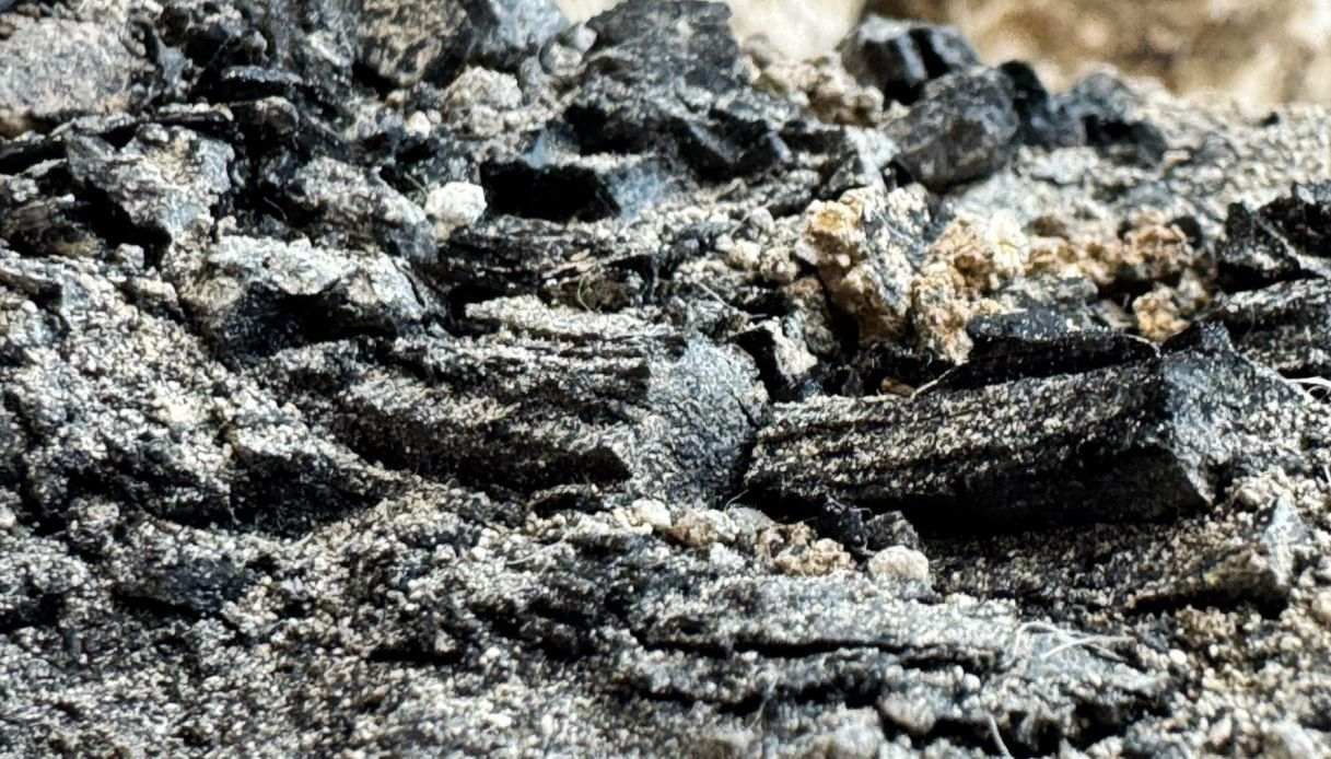 Frammento di trave in legno carbonizzata, ricoperta da intonaco biancastro, rinvenuta negli scavi della Città di Davide a Gerusalemme