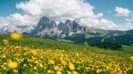 Vacanze in montagna, ormai un italiano su tre le sceglie: ecco cosa sta cambiando
