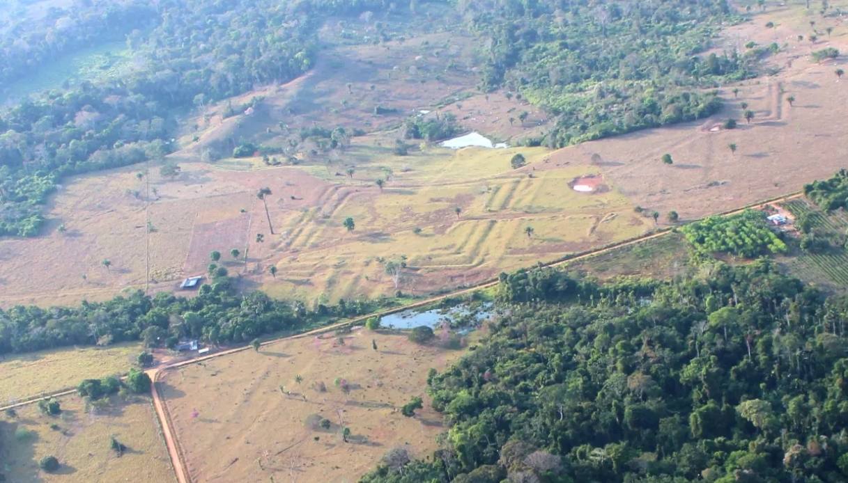 Nuova scoperta in Amazzonia