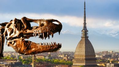 Due T-Rex arrivano alla Mole Antonelliana di Torino: è la prima volta nella storia