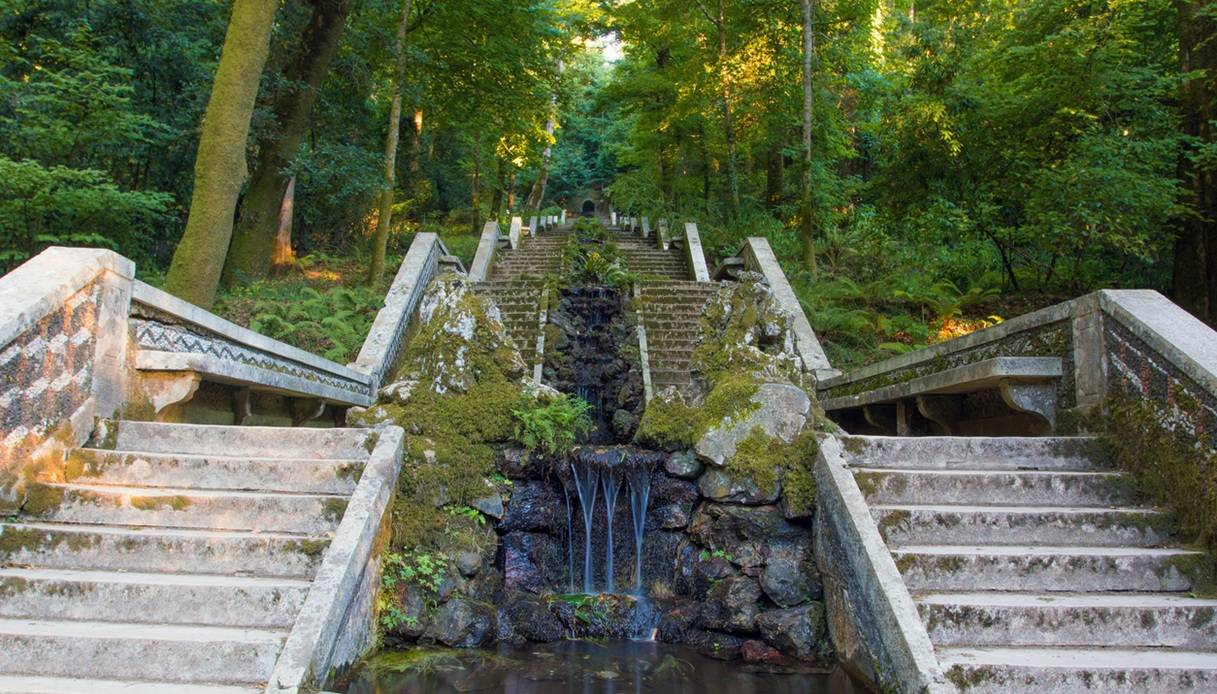 La foresta di Bu&ccedil;aco, in Portogallo