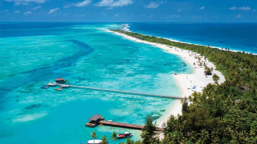 Kanifushi, il paradiso delle tartarughe (e degli umani) delle Maldive