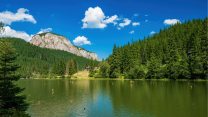 Il lago con una foresta sommersa che emerge ancora dall’acqua: è il Lacul Roșu, in Romania