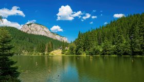 Il lago con una foresta sommersa che emerge ancora dall’acqua: è il Lacul Roșu, in Romania