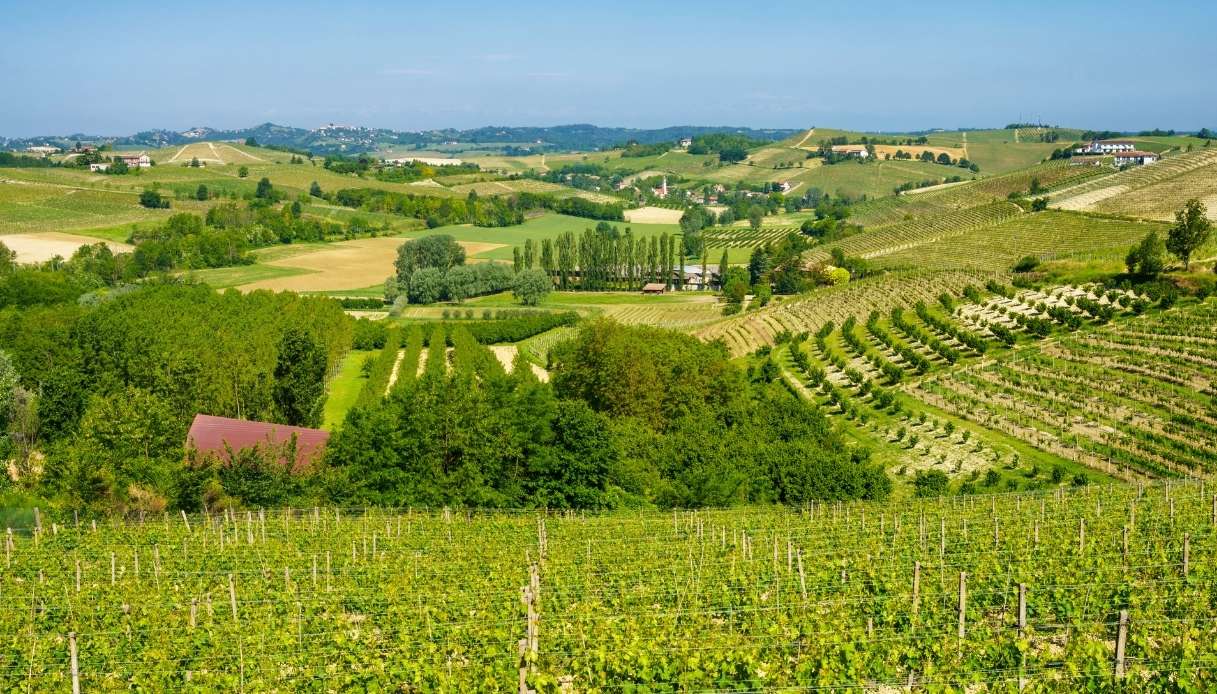 Vista sui vigneti del Monferrato