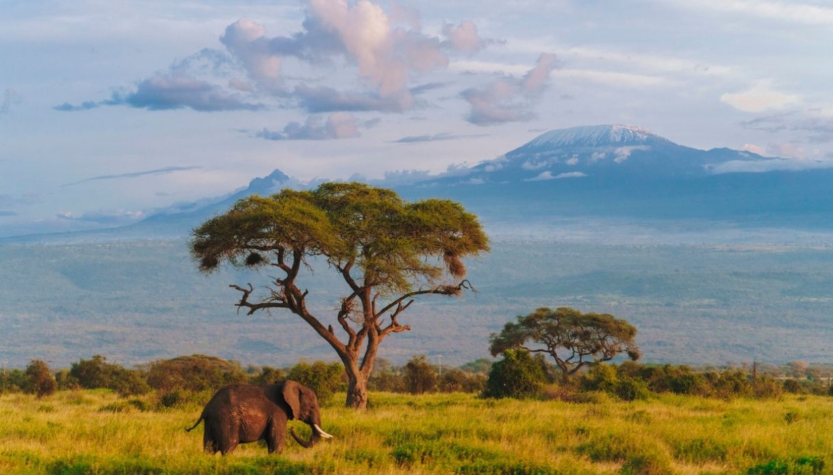 Un classico safari nel Masai Mara