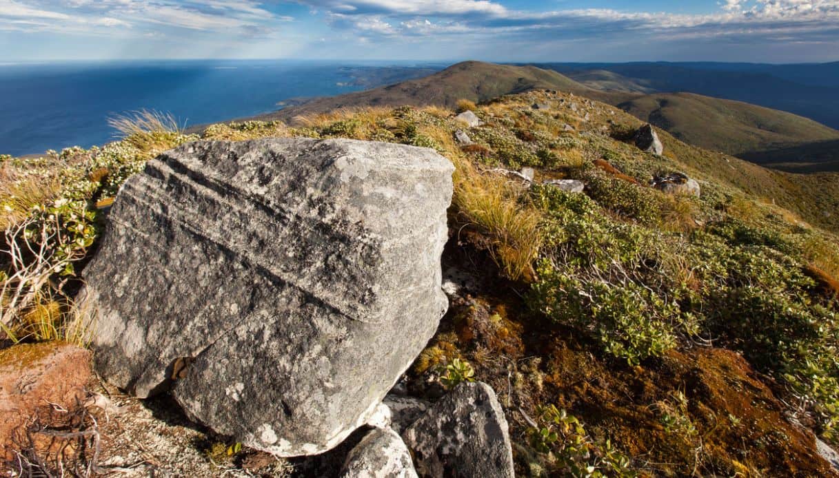 Cima del Monte Anglem, Stewart Island, Nuova Zelanda