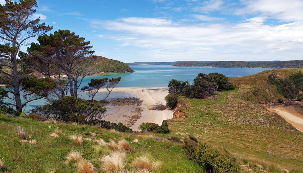 Stewart Island, l'isola dei kiwi e dei cieli spettacolari