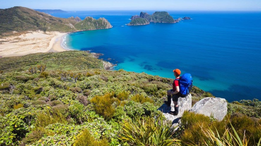 Stewart Island, l’isola più tranquilla del mondo dove vivono solo 500 persone