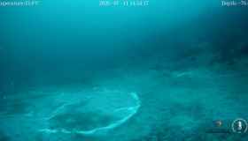 Panarea non smette di sorprendere: scoperto un mondo sommerso incredibile
