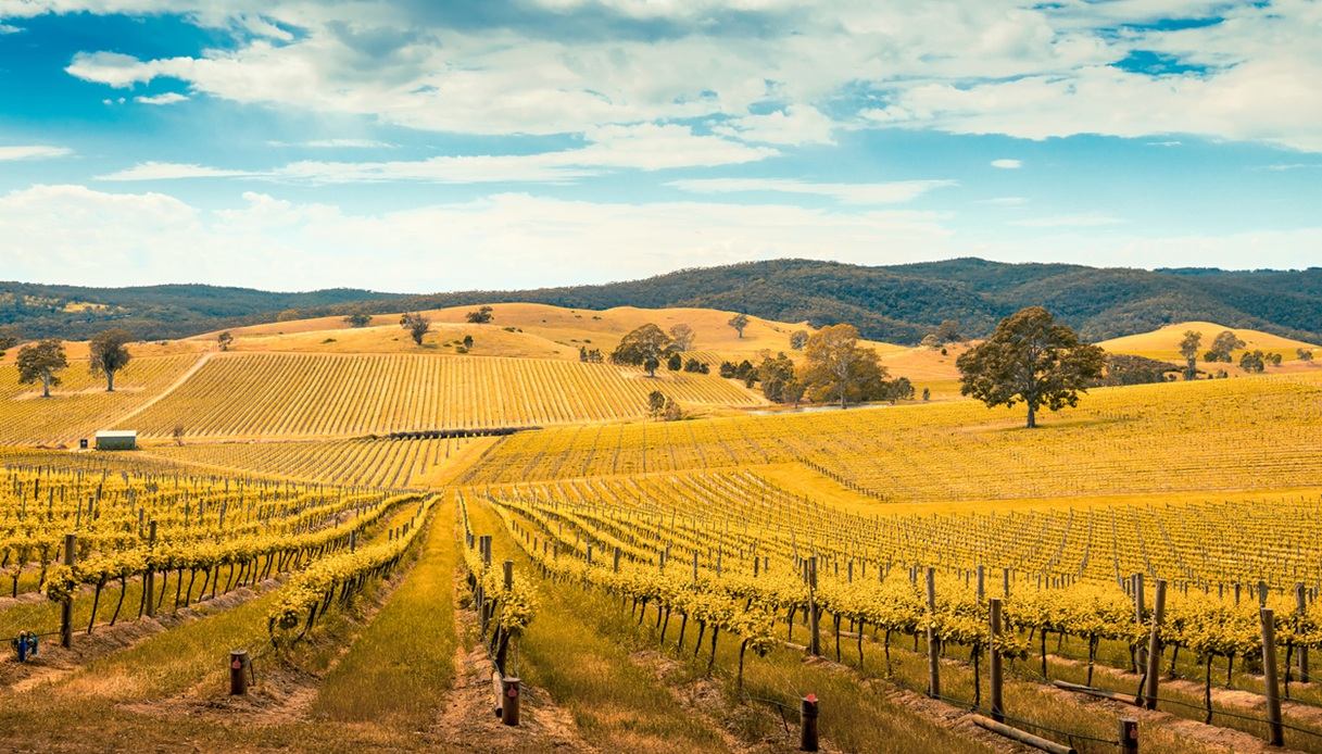 C'&egrave; la Barossa Valley tra i luoghi dov'&egrave; girata "La mia brillante carriera", nuova serie in costume di Netflix