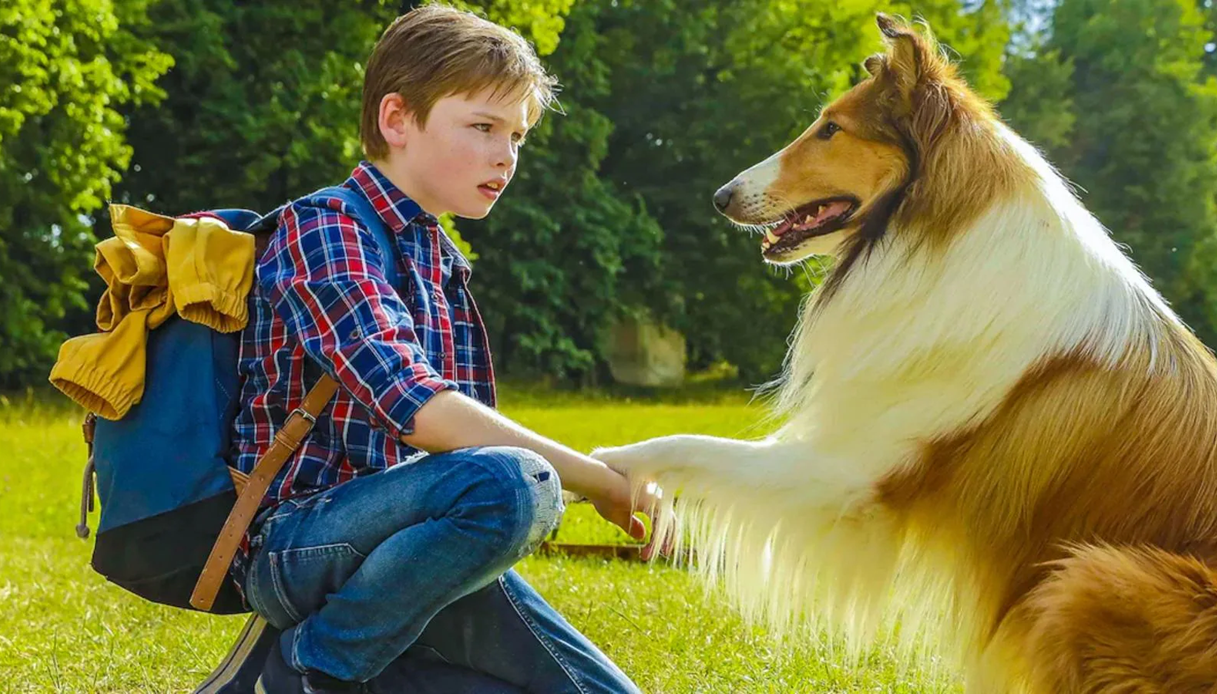 Arriva in prima serata su Rai 1 "Lassie torna a casa": il remake del grande classico con Liz Taylor