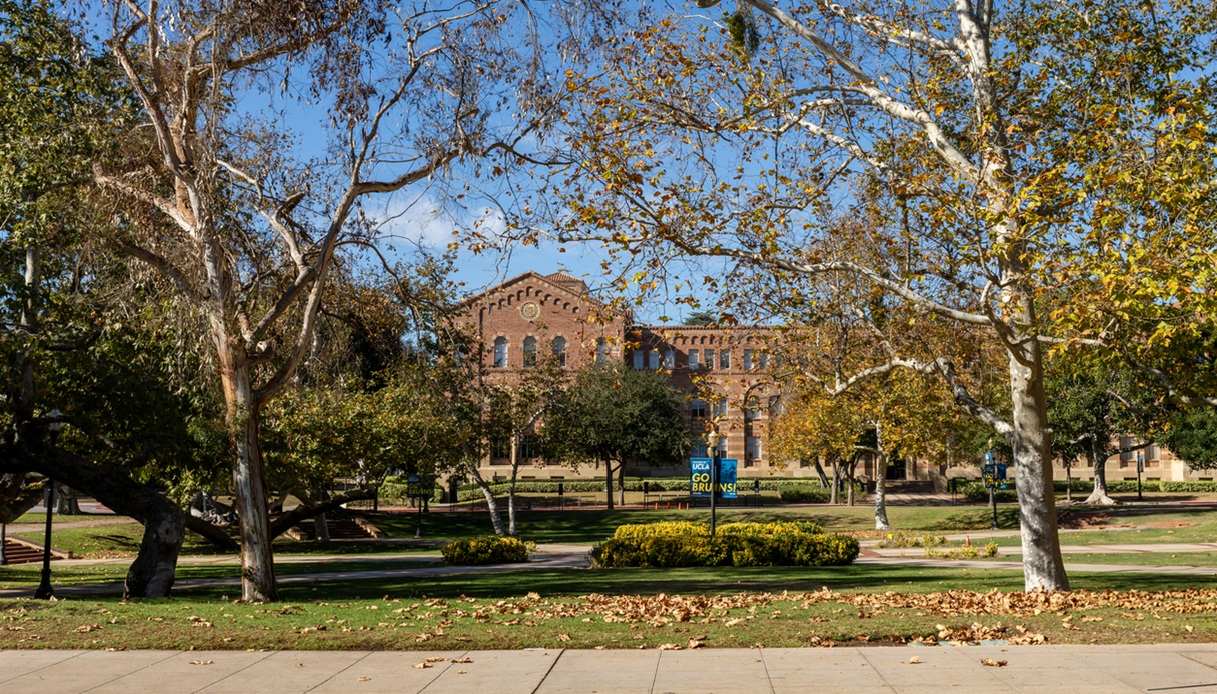 Le location di "The Shards" a Los Angeles 