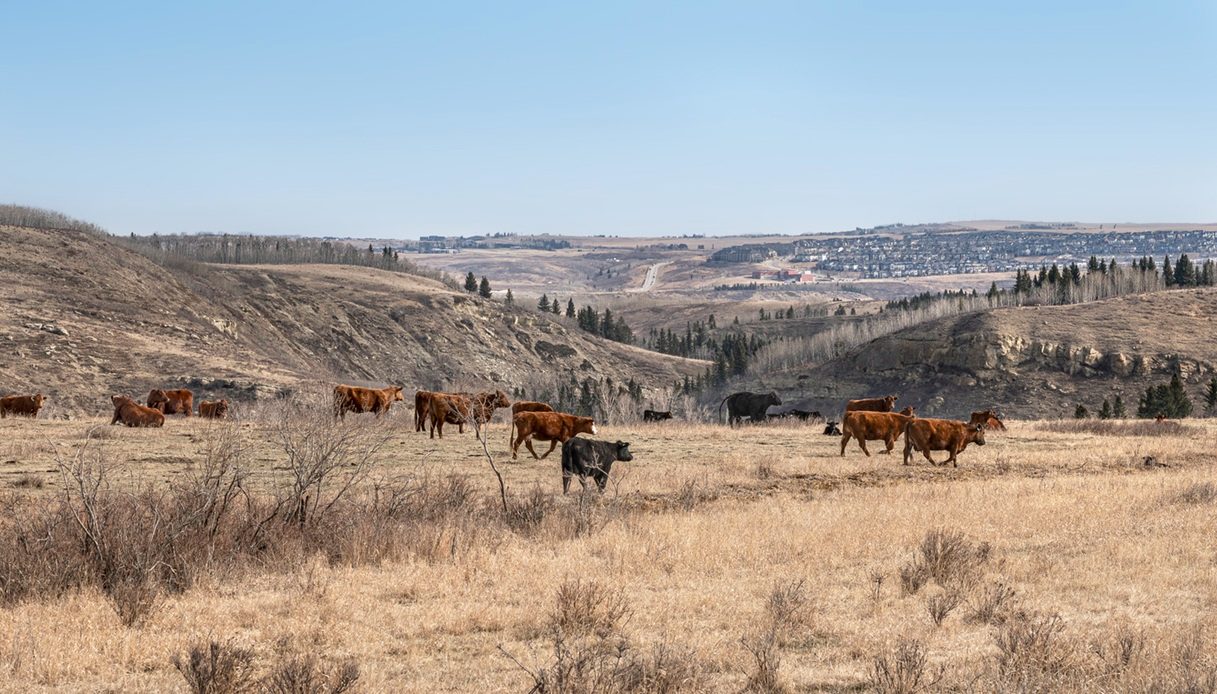 Dov'&egrave; stata girata la terza stagione di "Uno splendido errore" nell'Alberta 