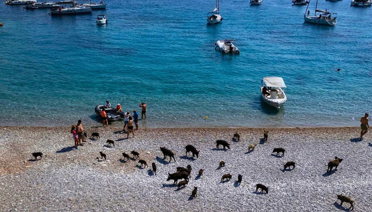 L'isola di Atokos in Grecia