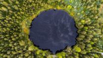 Nel bel mezzo della foresta, c’è un incredibile lago nero: è il Blindensee, in Germania
