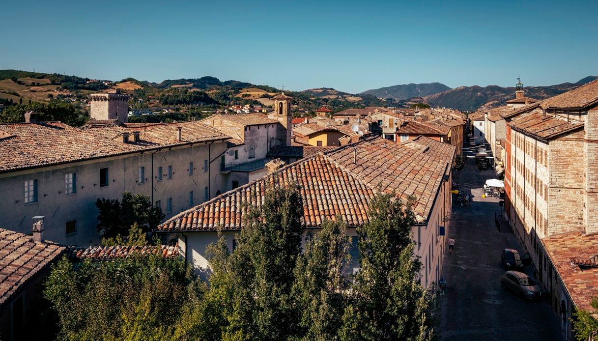 Le sagre dei funghi in Italia, dove sono le migliori e quando andarci