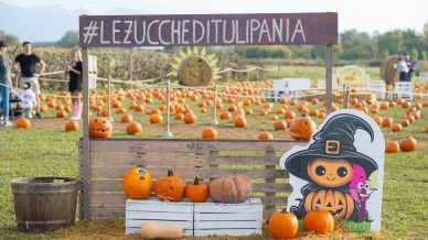 I campi di zucche più belli da visitare in Italia nel 2026: dove perdersi nella magia d’autunno