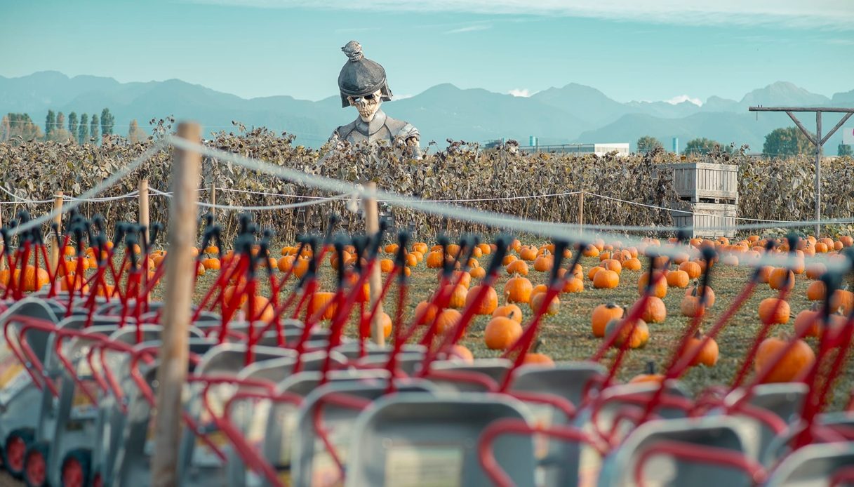 Il campo di zucche di Tulipania