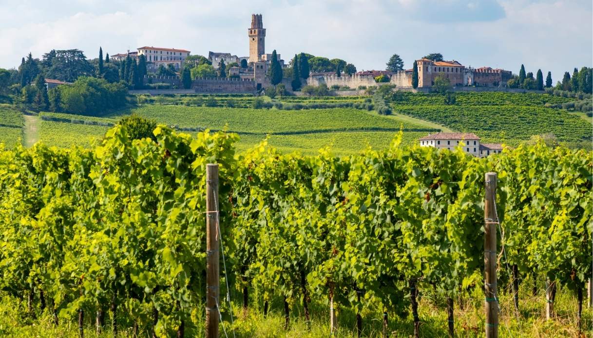 Vista sul Castello di San Salvatore di Susegana