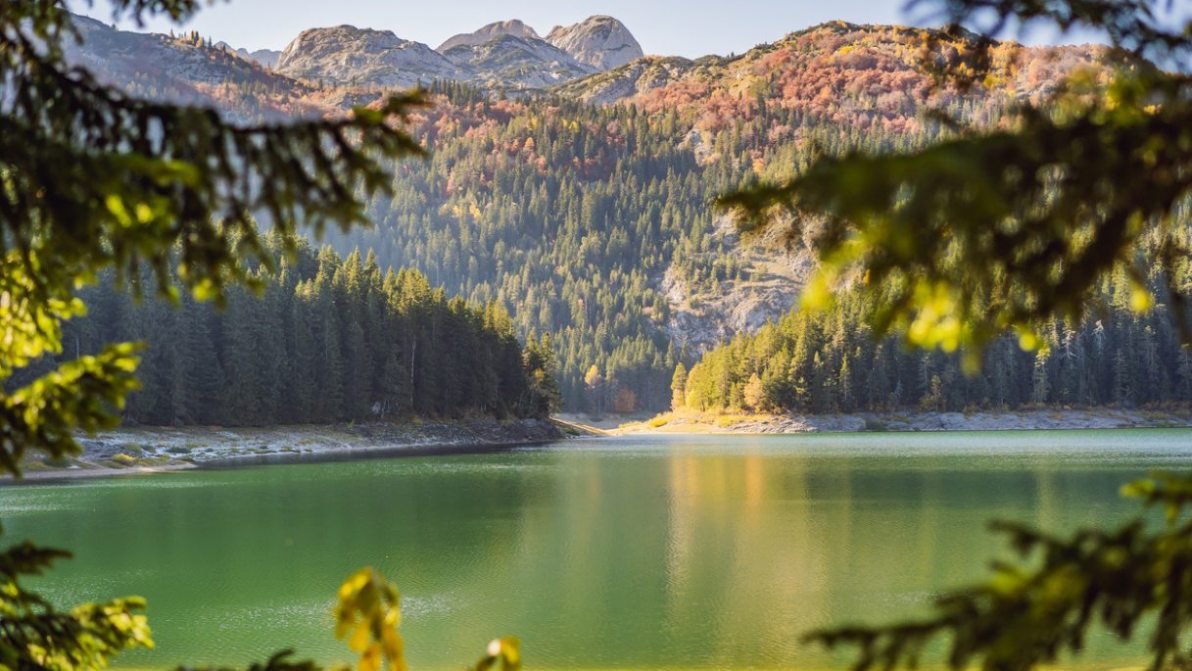 Il Lago Nero tra le montagne e gli abeti rossi di una valle slovena: lo straordinario Črno jezero