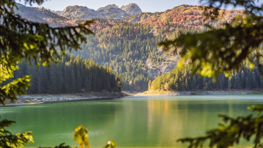 Il Lago Nero tra le montagne e gli abeti rossi di una valle slovena: lo straordinario Črno jezero