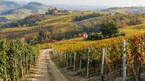 Inizia l’autunno e torna la stagione del foliage: 5 esperienze da vivere tra boschi e colori