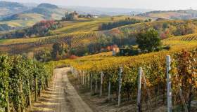 Inizia l’autunno e torna la stagione del foliage: 5 esperienze da vivere tra boschi e colori