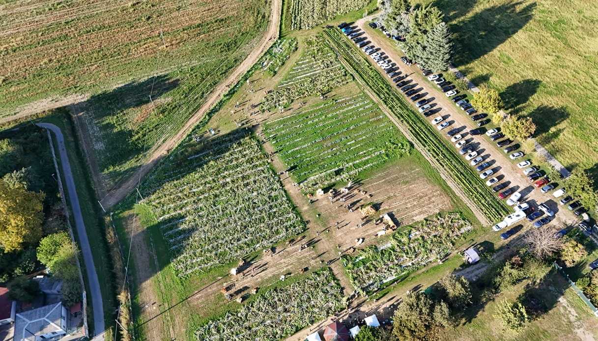 Il Ceraseto di Lodi