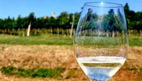 Itinerario enogastronomico lungo la Strada del Prosecco: 3 giorni di viaggio goloso tra le colline venete