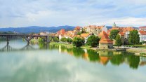 La città del vino eterno: Maribor, il segreto asburgico custodito dalla vite più antica del mondo
