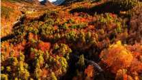Torna il Treno del Foliage, il viaggio più spettacolare dell’autunno tra Italia e Svizzera