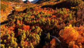 Torna il Treno del Foliage, il viaggio più spettacolare dell’autunno tra Italia e Svizzera