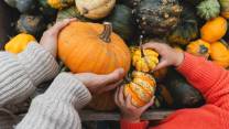 Sagre della zucca 2026: gli appuntamenti più golosi d’autunno in Italia
