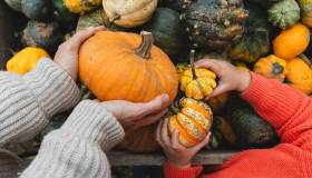 Sagre della zucca 2026: gli appuntamenti più golosi d’autunno in Italia