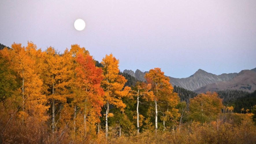 Il 26 settembre arriva la Luna del Raccolto, lo spettacolo dell’autunno