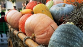 I migliori eventi e le sagre di ottobre in Sardegna