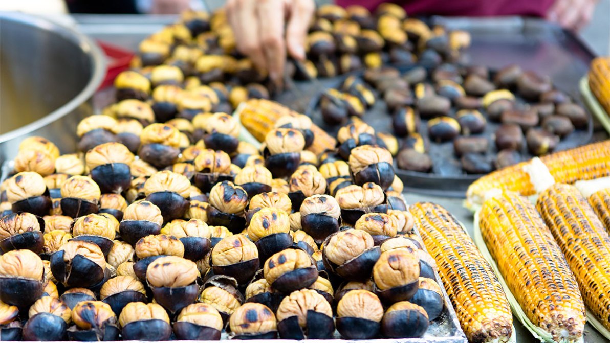 I migliori eventi e le sagre di ottobre nelle Marche