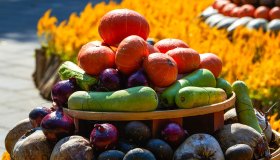 I migliori eventi e le sagre di settembre in Valle d’Aosta
