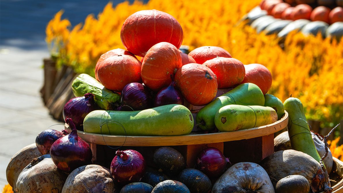 I migliori eventi e le sagre di settembre in Valle d’Aosta