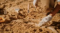 Una sepoltura insolita riemerge dopo 3.000 anni: la scoperta porta fino a Ramses II