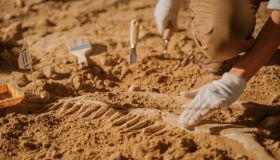 Una sepoltura insolita riemerge dopo 3.000 anni: la scoperta porta fino a Ramses II