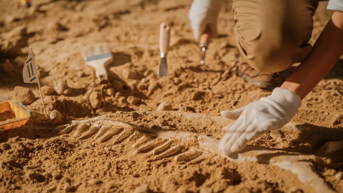 Una sepoltura insolita riemerge dopo 3.000 anni: la scoperta porta fino a Ramses II